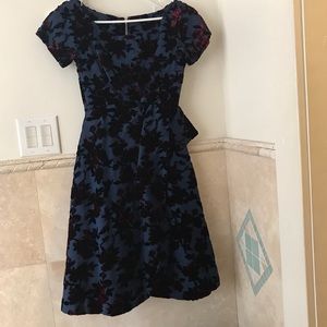 Vintage Dress, velvet print, 24in waist
